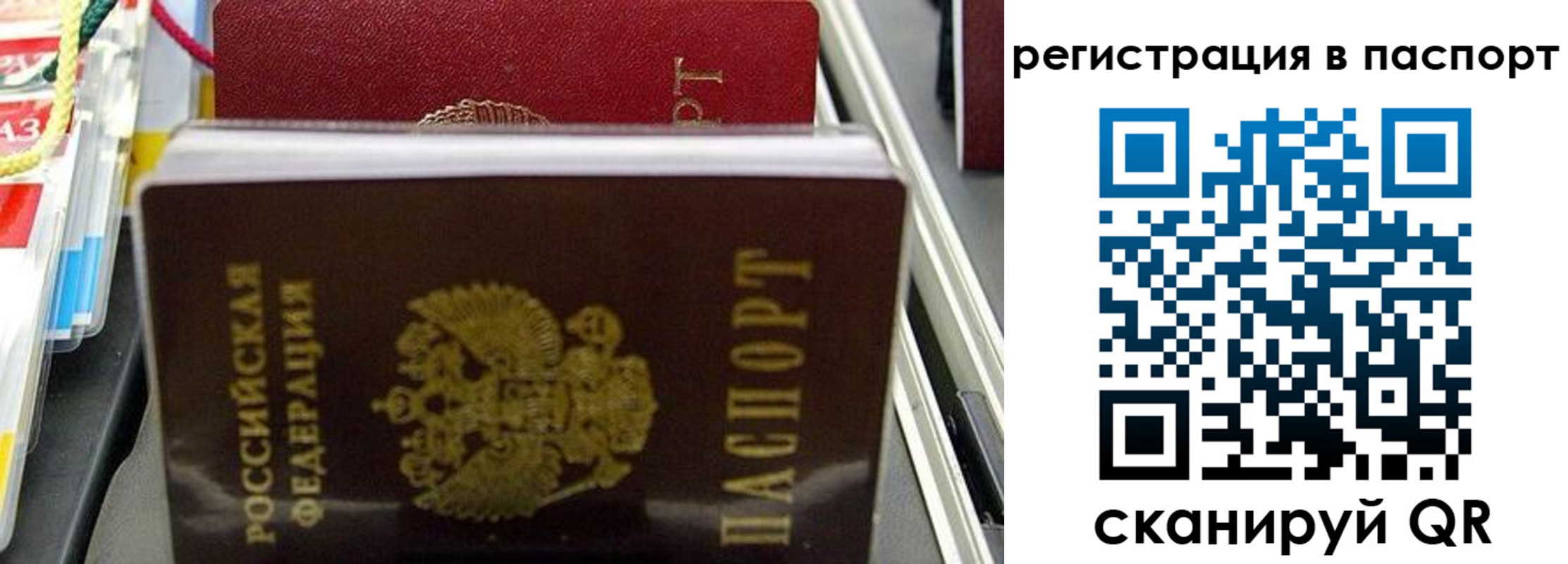 прописка для школы в Читинской области